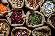 	Legume Consumption and Risk of All-Cause and Cause-Specific Mortality: A Systematic Review and Dose-Response Meta-Analysis of Prospective Studies